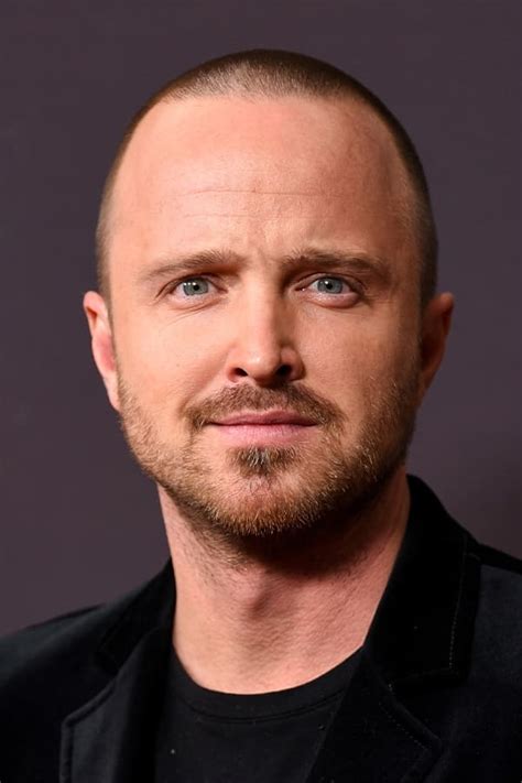 Decoding Annie Parker Aaron Paul