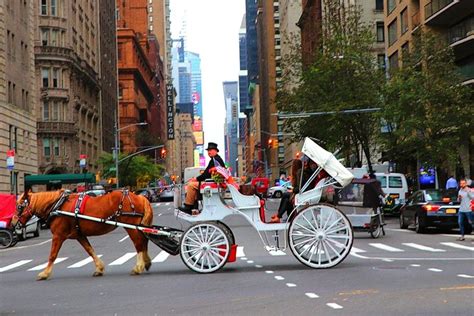 Nyc Horse Carriage Ride In Central Park 50 Minutes Photo Stops 2022