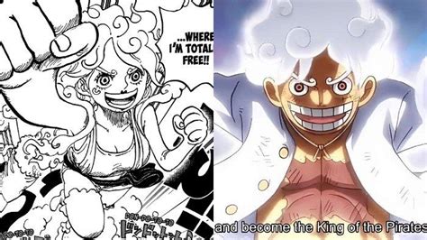 Spoiler One Piece Chapter Misteri Gear Bonney Yang Kemungkinan