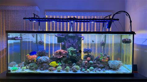 My Gallon Reef Tank Equipment Youtube