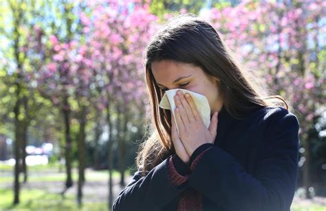 Pollen Dambroisie Millions De Fran Ais Allergiques En