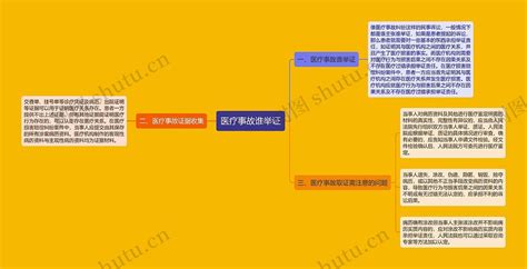 医疗事故谁举证思维导图编号p7069402 Treemind树图