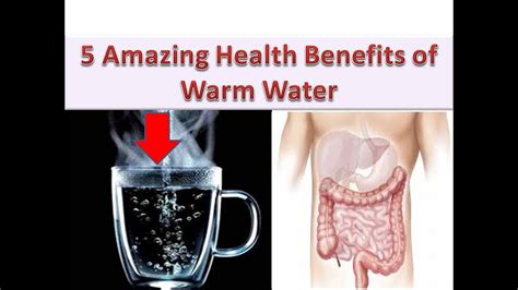 Warm Water Benefits 5 Amazing Health Benefits Of Drinking Warm Water In