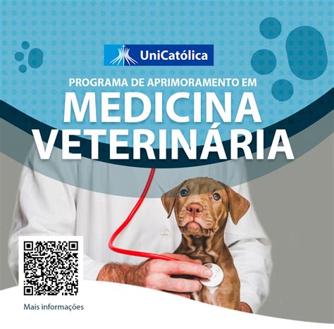 Programa De Aprimoramento Medicina Veterinaria Story Cat Lica Do