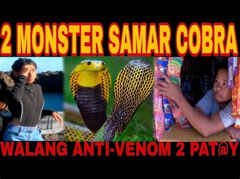 Pangarap Ng Bata Tinapos Ng Samar Cobra Dalwa Ang Pat Y Cobraprince