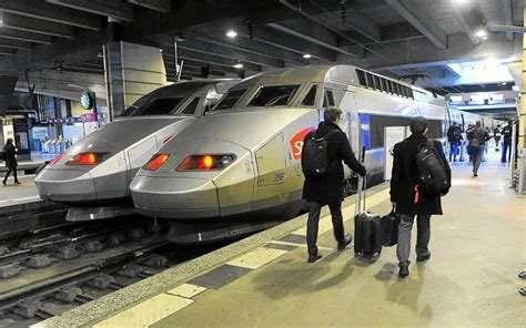 Chat Cras Par Un Tgv La Sncf Condamn E Une Amende De Le