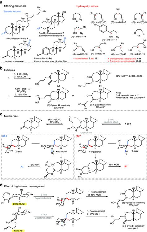 Regioselective Ring Expansions Of 3 Oxosteroids A Steroids And