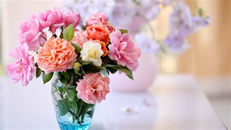 wow  background bunga hias gambar bunga indah