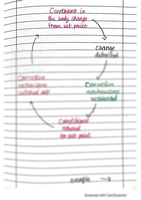 Solution Igcse Biology Chapter 14 Homeostasis Notes Studypool