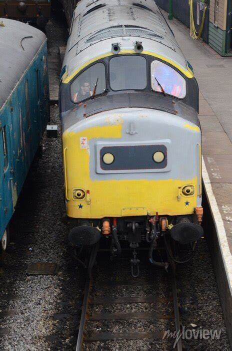 English Electric Class 37 Diesel Locomotive 37264 Operating A Posters For The Wall • Posters