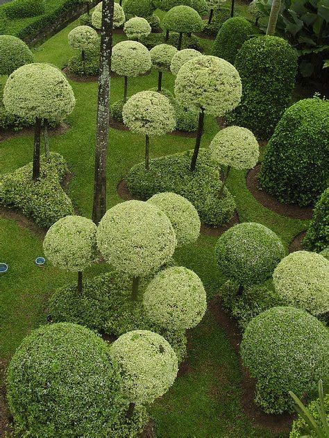 Topiary garden in shades of green – Artofit