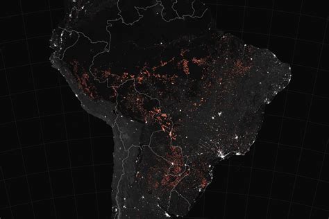 Campos Abiertos El Blog De Fernando Manero La Tragedia De La Amazonia