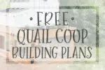 Free Quail Coop Building Plans Silver Homestead