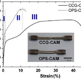 The In Situ Dic Full Field Strain Images During Tensile Loading And