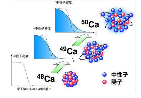 Anomalous Enhancement Of The Nuclear Size In Ca Isotopes ResOU