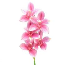 Floristik Be Orchid E Cymbidium Artificielle Fleurs Rose Cm