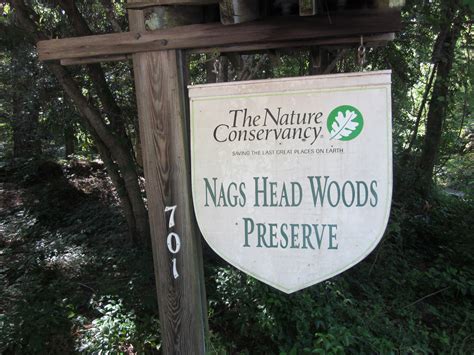 Travel NC With Kids: Nags Head Woods Preserve - Are You Sure We're This ...