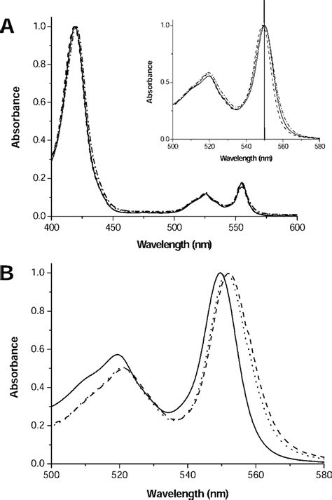 Absorption Spectra Of C Type Cytochrome Variants Of E Coli Cytochrome