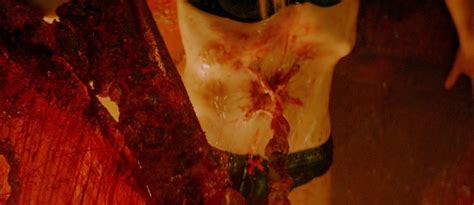 Naked Dominique Swain In The Black Room