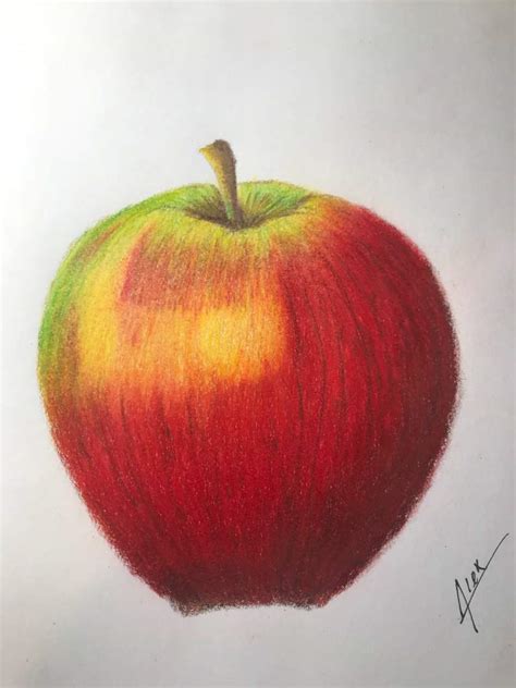 Apple Color Pencil Drawing