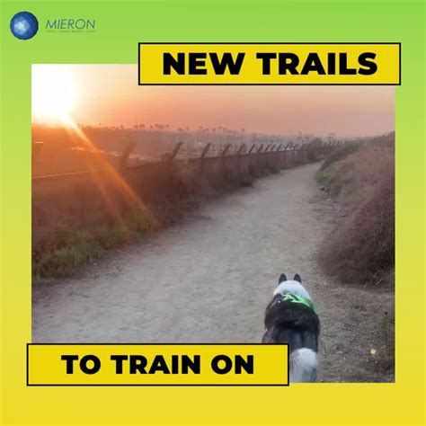 josh dubon  linkedin mieron    countries  growing grateful