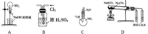 下列实验装置不能达到实验目的的是 A．用so2做喷泉实验 B．干燥氯气 C．验证nh3易溶于水 D．比较na2co3与nahco3的稳定