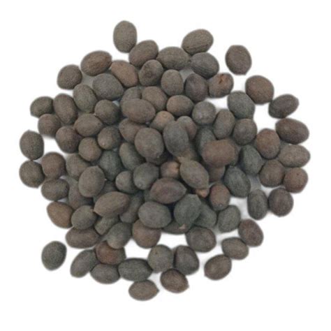 Dried Dry Lotus Seed, Packaging Type: Loose at Rs 175/kg in New Delhi ...