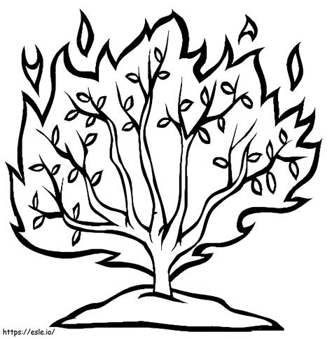 Burning Bush Coloring Page