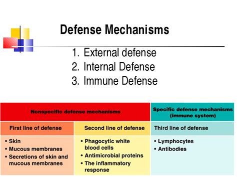 Immune Response Third Line Of Defense Involves Production Of