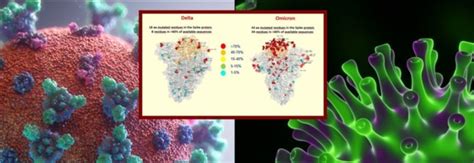 Deltacron La Nuova Variante Che Combina Delta E Omicron Casi In Tutta