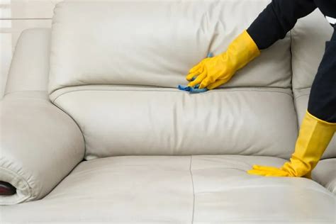 How To Remove A Musty Smell From A Leather Sofa