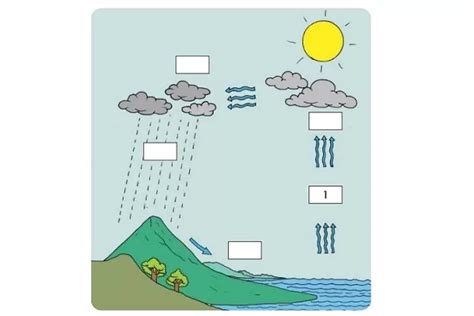Proses Terjadinya Hujan Berikut Kunci Jawaban Tema Kelas Sd Mi
