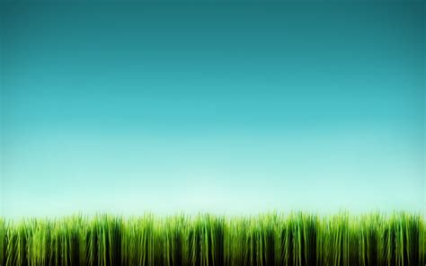 Grass And Sky Wallpaper 71 Images