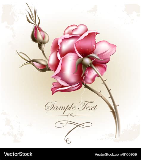 Rose Flower Royalty Free Vector Image Vectorstock