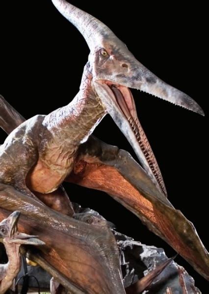 Pteranodon Jurassic Park Photo On Mycast Fan Casting Your Favorite Stories