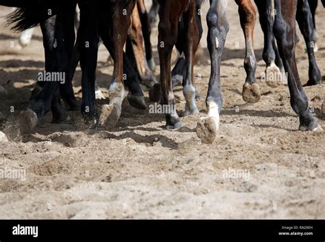 15 04 2018 Fotos und Bildmaterial in hoher Auflösung Alamy