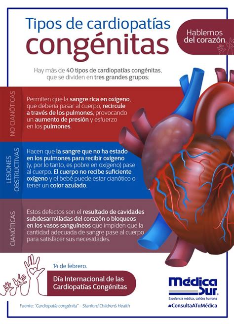 ¿cuántas Cardiopatías Congénitas Hay Hablemos De La Salud Del Corazón