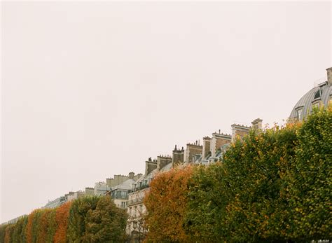 Fall Colors in Paris France - Entouriste