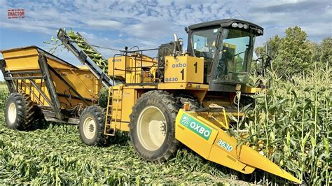 Oxbo Sweet Corn Harvester Youtube