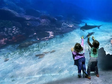 National Geographic Encounter: Ocean Odyssey in Times Square