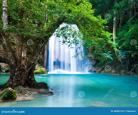 Cliff of Waterfall in Deep Forest Stock Image - Image of clean, scenery ...