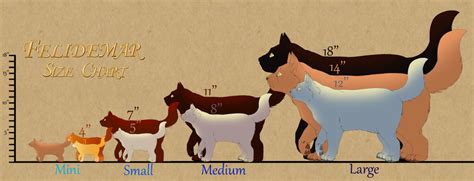 Felidemar Cat Size Chart by lilwyverngirl on DeviantArt