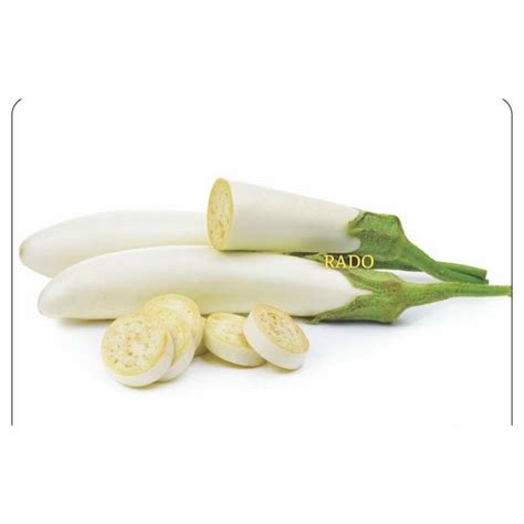 White Long Eggplant Seeds Biji Benih Terung Putih Biji Benih