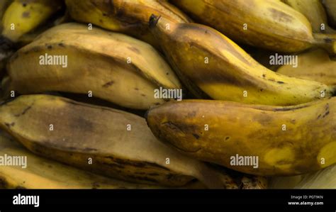 Boiled Or Steamed Banana Is A Popular Breakfast Food And Health Fruit