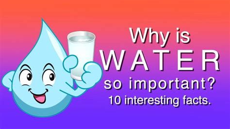 Liquid Gold Amazing Facts About Water Vital Reader