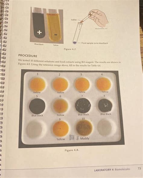 Solved Introduction Iki Iodine Potassium Iodide Test Is A