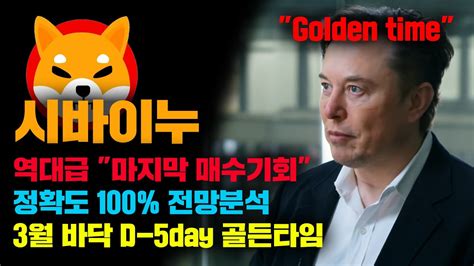 시바이누 긴급 3월 역대급 바닥매수 기회 D 5day 정확도 100 전망분석 영상 필수시청 코인시황