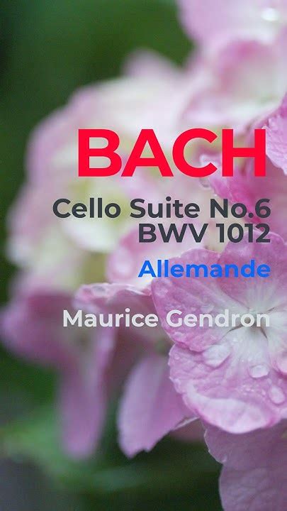 Bach Cello Suite No6 Bwv 1012 Allemande Maurice Gendron Youtube