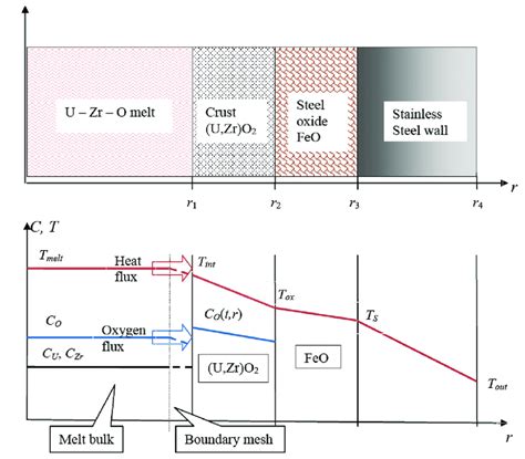 Schematic Representation Of The Temperature And Concentration Download Scientific Diagram