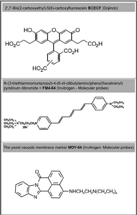 Molecular Structure Of The Dyes Used Download Scientific Diagram